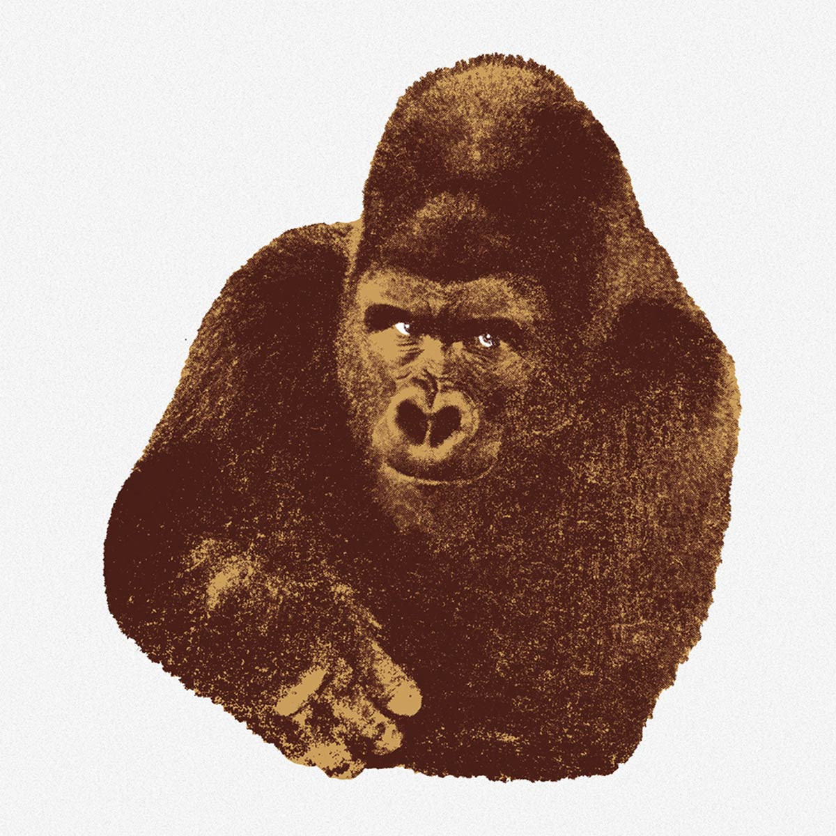 Quindici Il Gorilla serigrafia 112x112
