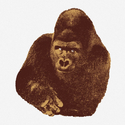 Quindici Il Gorilla serigrafia 112x112