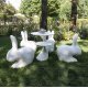Rabbit Chair Qeeboo ambientazione