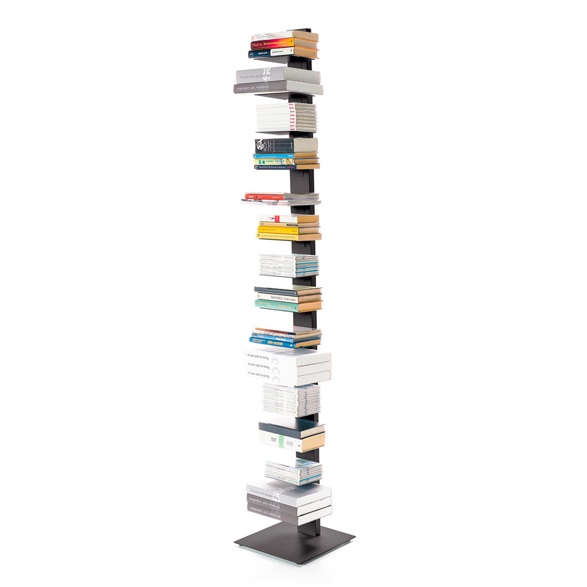 Libreria Sapiens H 202 grigio antracite