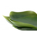 Seasons Piatto in silicone NT-01 Covo dettaglio