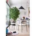 Sedia Cozy CB2135 Connubia ambientazione
