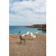 Ibiza Poltrona Lounge Vondom ambientazione