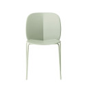 Sedia Mentha Scab vista