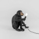 Monkey Lamp Sitting Black Outdoor Seletti dettaglio