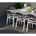 Set tavolo Alloro 210 con 10 sedie Palma Ambientazione