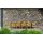 Set tavolo Rio 210 con 8 sedie Net