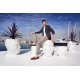 Adan Sgabello 50x68x70 Vondom ambientazione
