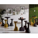 Armillaria stool Plust ambientazione