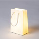 Dailyglow Lamp Shopper Glow Seletti dettaglio