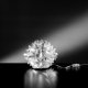 SLAMP Cactus Prisma Table Lamp XS