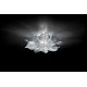 Slamp Étoile Ceiling/Wall ambientazione