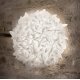 Slamp Veli Foliage Ceiling/Wall medium ambientazione
