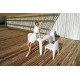 Solid Sedia Vondom ambientazione