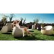 Stone Lounge Chair Vondom ambientazione