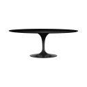 Knoll Saarinen Tavolo Tulip 198x121 Laminato Nero vista