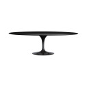 Knoll Saarinen Tavolo Tulip 244x137 Laminato Nero vista