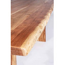 Tavolo Eneas 200x95 Bizzotto dettaglio