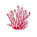 Driade Tenochtitlan Candelabro rosso vista