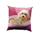 Toiletpaper Pets Cuscino BFF Seletti vista