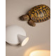 Tortuga lampada da parete Martinelli Luce ambientazione