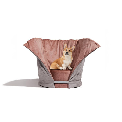 Tulipano Cuccia Labilla