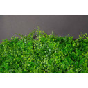 Tundra Giardino Verticale VGnewtrend dettaglio