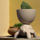 Turtle Carry Planter and Champagne Cooler Qeeboo ambientazione
