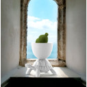 Turtle Carry Planter and Champagne Cooler Bianco Qeeboo 