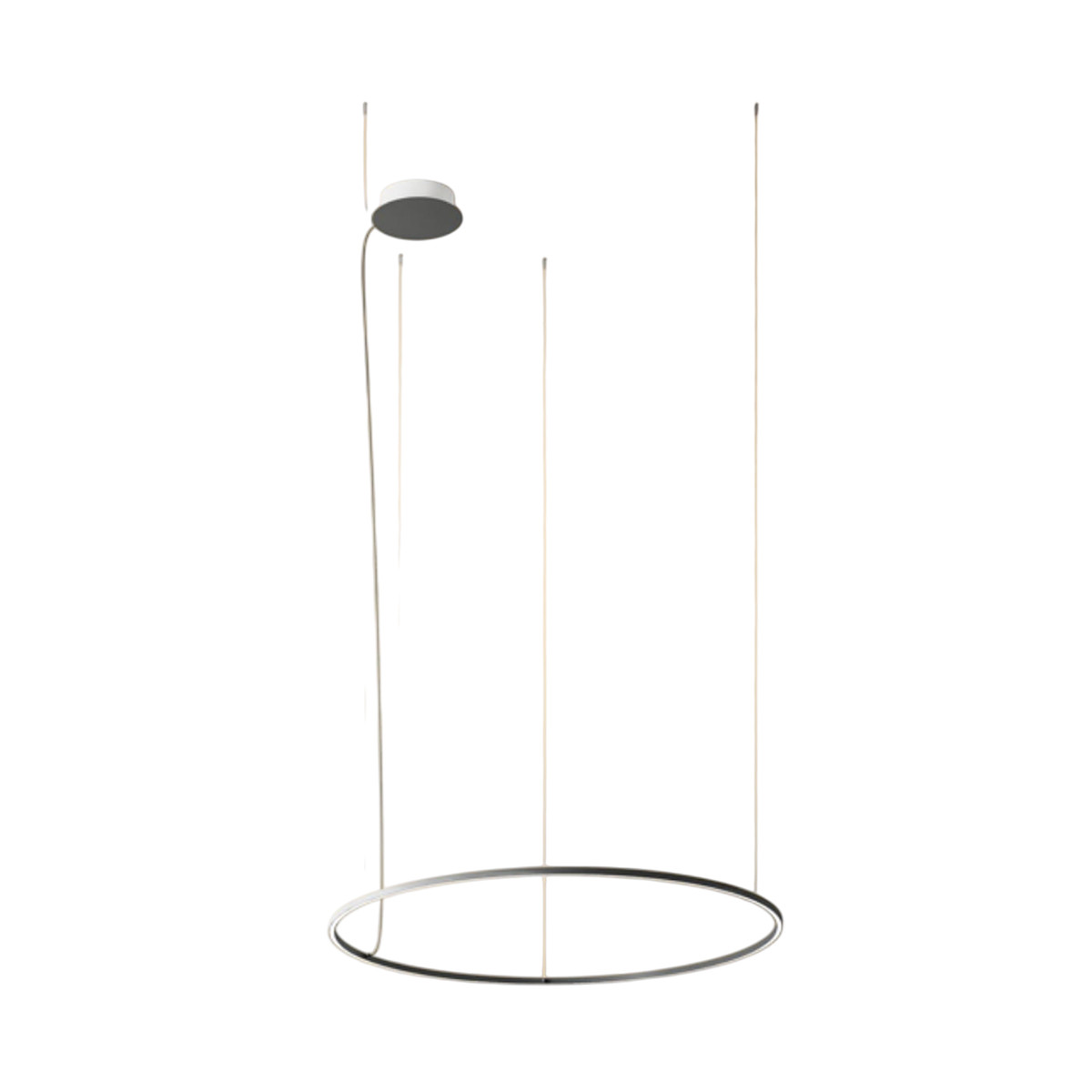 U-Light Cerchio Lampada a sospensione