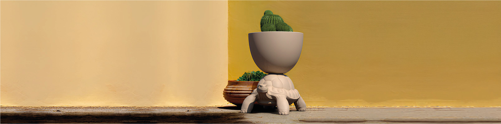 VASI OUTDOOR