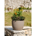 Vaso Ares 60 Tera ambientazione