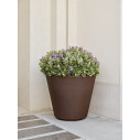 Vaso Ribeira 80 Tera ambientazione