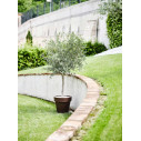 Vaso Standard One 120 Tera ambientazione