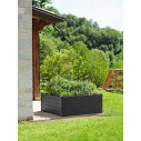 Vaso Trama 003 Tera ambientazione