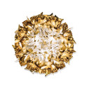 Veli Ceiling-Wall Large lampada da soffitto-parete Gold Slamp vista