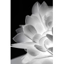 Veli Ceiling-Wall Medium lampada da soffitto-parete Foliage Slamp ambientazione