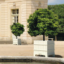 Versailles vaso Serralunga ambientazione